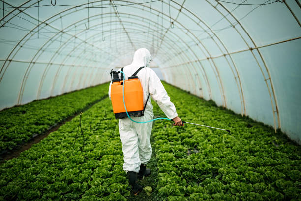 Reliable Red Corral, CA Pest Control Solutions